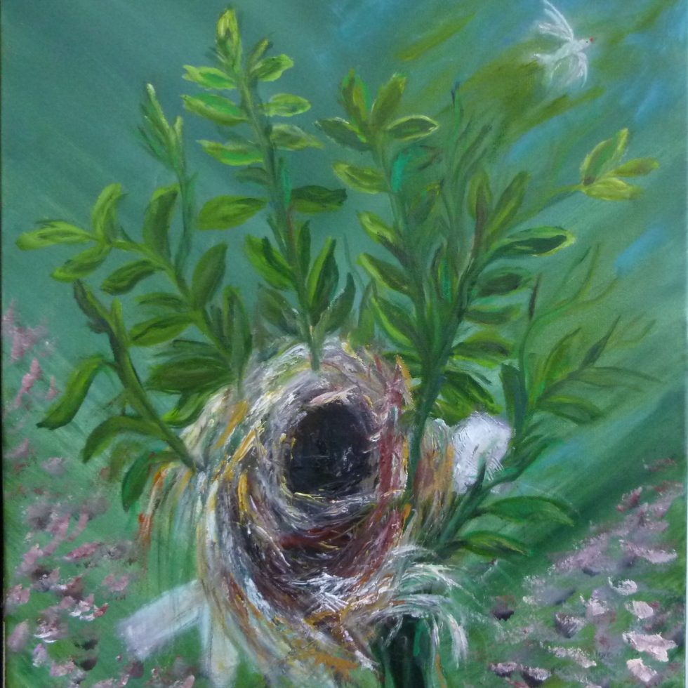 (10F=55x46)2017-06